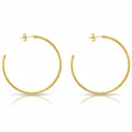 FAJL PERFECT HOOPS GOLD BR1207